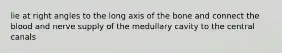 lie at right angles to the long axis of the bone and connect the blood and nerve supply of the medullary cavity to the central canals