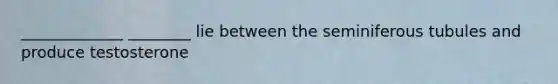 _____________ ________ lie between the seminiferous tubules and produce testosterone