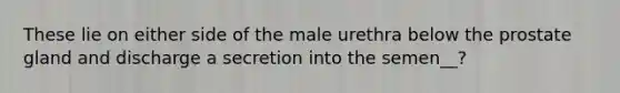 These lie on either side of the male urethra below the prostate gland and discharge a secretion into the semen__?