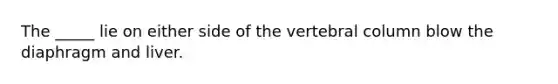 The _____ lie on either side of the vertebral column blow the diaphragm and liver.