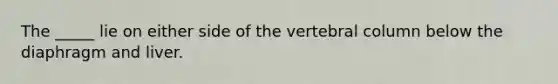 The _____ lie on either side of the vertebral column below the diaphragm and liver.