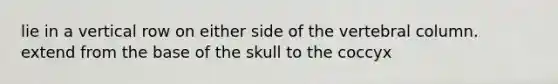 lie in a vertical row on either side of the vertebral column. extend from the base of the skull to the coccyx