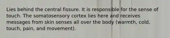 Lies behind the central fissure. It is responsible for the sense of touch. The somatosensory cortex lies here and receives messages from skin senses all over the body (warmth, cold, touch, pain, and movement).