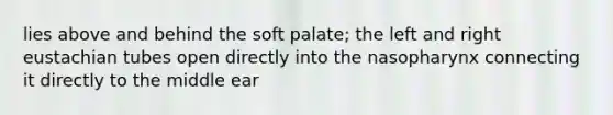 lies above and behind the soft palate; the left and right eustachian tubes open directly into the nasopharynx connecting it directly to the middle ear