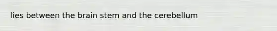 lies between the brain stem and the cerebellum