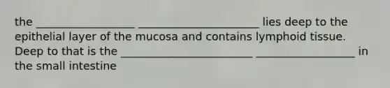the __________________ ______________________ lies deep to the epithelial layer of the mucosa and contains lymphoid tissue. Deep to that is the ________________________ __________________ in <a href='https://www.questionai.com/knowledge/kt623fh5xn-the-small-intestine' class='anchor-knowledge'>the small intestine</a>
