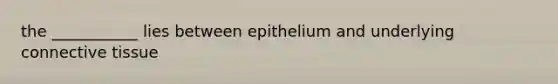 the ___________ lies between epithelium and underlying connective tissue