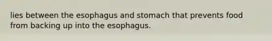 lies between the esophagus and stomach that prevents food from backing up into the esophagus.