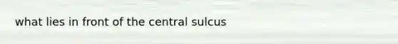 what lies in front of the central sulcus