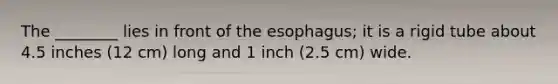 The ________ lies in front of the esophagus; it is a rigid tube about 4.5 inches (12 cm) long and 1 inch (2.5 cm) wide.