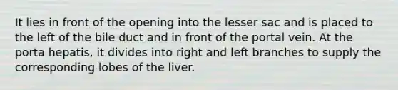 It lies in front of the opening into the lesser sac and is placed to the left of the bile duct and in front of the portal vein. At the porta hepatis, it divides into right and left branches to supply the corresponding lobes of the liver.