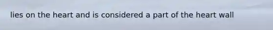 lies on <a href='https://www.questionai.com/knowledge/kya8ocqc6o-the-heart' class='anchor-knowledge'>the heart</a> and is considered a part of the heart wall