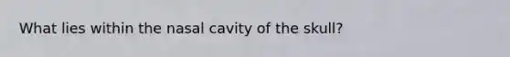 What lies within the nasal cavity of the skull?