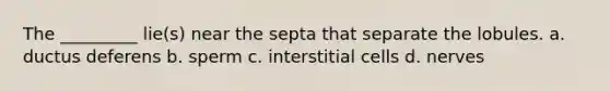 The _________ lie(s) near the septa that separate the lobules. a. ductus deferens b. sperm c. interstitial cells d. nerves