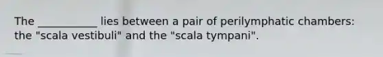 The ___________ lies between a pair of perilymphatic chambers: the "scala vestibuli" and the "scala tympani".