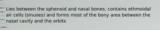 Lies between the sphenoid and nasal bones, contains ethmoidal air cells (sinuses) and forms most of the bony area between the nasal cavity and the orbits