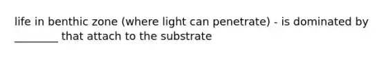 life in benthic zone (where light can penetrate) - is dominated by ________ that attach to the substrate