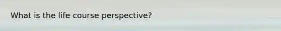 What is the life course perspective?