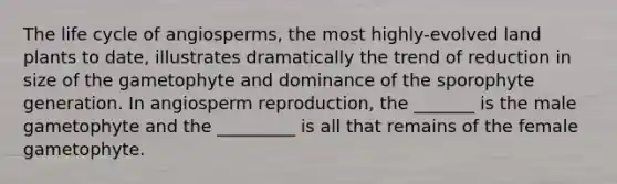 The life cycle of angiosperms, the most highly-evolved land plants to date, illustrates dramatically the trend of reduction in size of the gametophyte and dominance of the sporophyte generation. In angiosperm reproduction, the _______ is the male gametophyte and the _________ is all that remains of the female gametophyte.