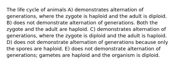 The life cycle of animals A) demonstrates alternation of generations, where the zygote is haploid and the adult is diploid. B) does not demonstrate alternation of generations. Both the zygote and the adult are haploid. C) demonstrates alternation of generations, where the zygote is diploid and the adult is haploid. D) does not demonstrate alternation of generations because only the spores are haploid. E) does not demonstrate alternation of generations; gametes are haploid and the organism is diploid.