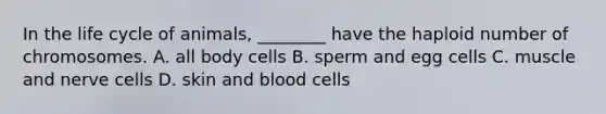 In the life cycle of animals, ________ have the haploid number of chromosomes. A. all body cells B. sperm and egg cells C. muscle and nerve cells D. skin and blood cells