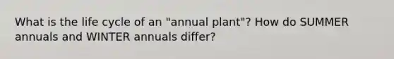 What is the life cycle of an "annual plant"? How do SUMMER annuals and WINTER annuals differ?