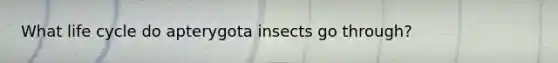 What life cycle do apterygota insects go through?