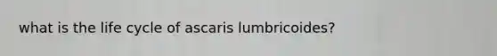 what is the life cycle of ascaris lumbricoides?