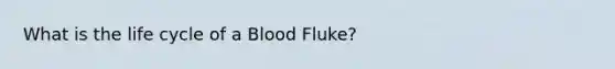 What is the life cycle of a Blood Fluke?