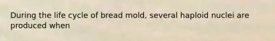 During the life cycle of bread mold, several haploid nuclei are produced when