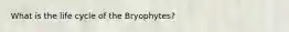 What is the life cycle of the Bryophytes?