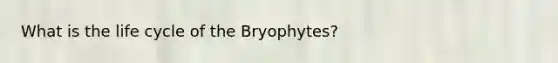 What is the life cycle of the Bryophytes?