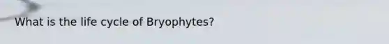 What is the life cycle of Bryophytes?