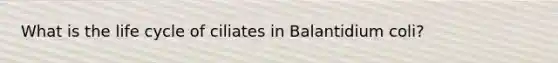 What is the life cycle of ciliates in Balantidium coli?