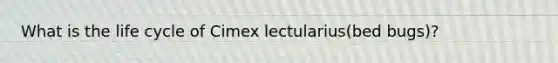 What is the life cycle of Cimex lectularius(bed bugs)?