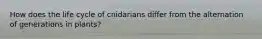 How does the life cycle of cnidarians differ from the alternation of generations in plants?