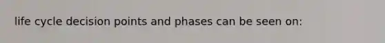 life cycle decision points and phases can be seen on: