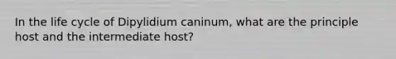 In the life cycle of Dipylidium caninum, what are the principle host and the intermediate host?