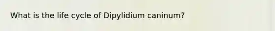 What is the life cycle of Dipylidium caninum?