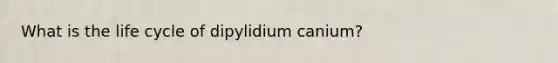 What is the life cycle of dipylidium canium?