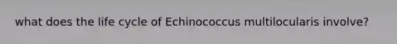 what does the life cycle of Echinococcus multilocularis involve?