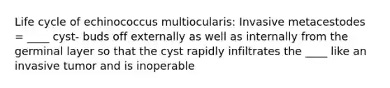 Life cycle of echinococcus multiocularis: Invasive metacestodes = ____ cyst- buds off externally as well as internally from the germinal layer so that the cyst rapidly infiltrates the ____ like an invasive tumor and is inoperable