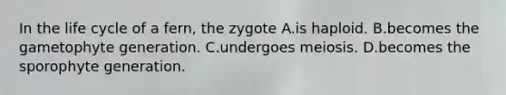In the life cycle of a fern, the zygote A.is haploid. B.becomes the gametophyte generation. C.undergoes meiosis. D.becomes the sporophyte generation.