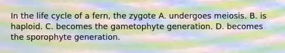 In the life cycle of a fern, the zygote A. undergoes meiosis. B. is haploid. C. becomes the gametophyte generation. D. becomes the sporophyte generation.