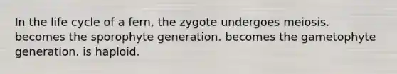 In the life cycle of a fern, the zygote undergoes meiosis. becomes the sporophyte generation. becomes the gametophyte generation. is haploid.