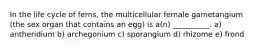 In the life cycle of ferns, the multicellular female gametangium (the sex organ that contains an egg) is a(n) __________. a) antheridium b) archegonium c) sporangium d) rhizome e) frond