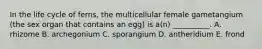 In the life cycle of ferns, the multicellular female gametangium (the sex organ that contains an egg) is a(n) __________. A. rhizome B. archegonium C. sporangium D. antheridium E. frond