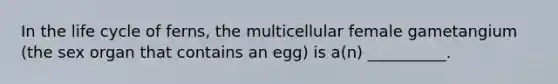 In the life cycle of ferns, the multicellular female gametangium (the sex organ that contains an egg) is a(n) __________.