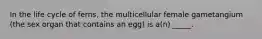 In the life cycle of ferns, the multicellular female gametangium (the sex organ that contains an egg) is a(n) _____.