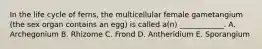 In the life cycle of ferns, the multicellular female gametangium (the sex organ contains an egg) is called a(n) ____________. A. Archegonium B. Rhizome C. Frond D. Antheridium E. Sporangium